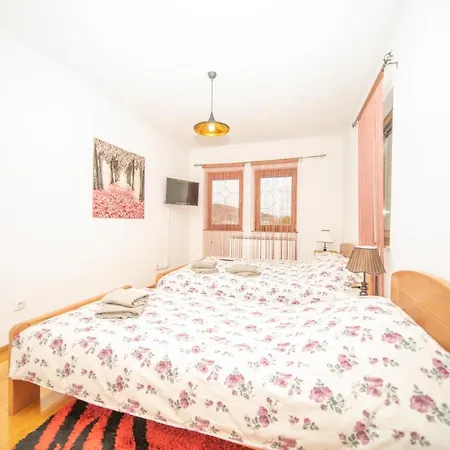 The View アパート *