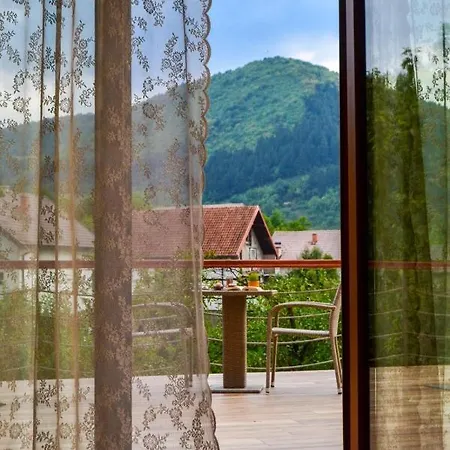 The View