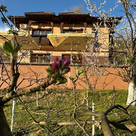 The View * ヴィソコ