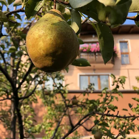 The View アパート